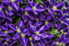 floral-abstract-7b7c123acdcafeda1b49e590abbfce4a93cdf684